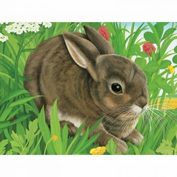 Puzzle In Cutie Animale, 12 Piese