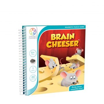 Magnetic Puzzle Game Brain Cheeser