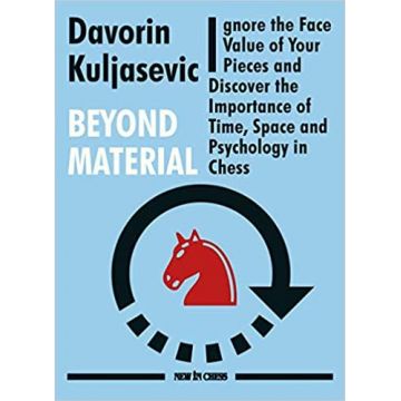 Carte : Beyond Material - Davorin Kuljasevic