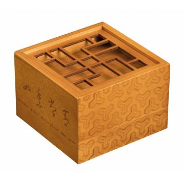 Secret Box Treasure