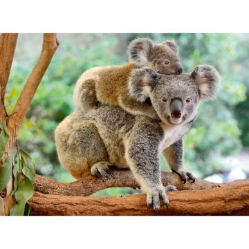 Puzzle Koala, 200 Piese