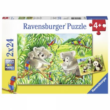 Puzzle Ravensburger - Koala Panda