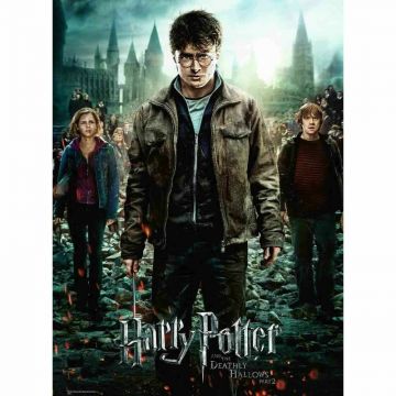 Puzzle Harry Potter Si Talismanele Mortii, Partea 2, 300 Piese