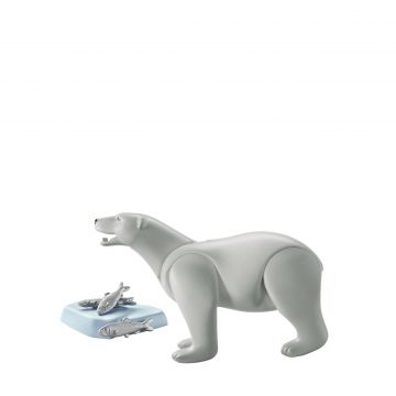 Polar bear