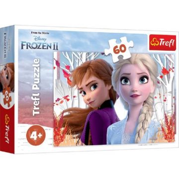 Puzzle 60. Frozen 2: Ana si Elsa