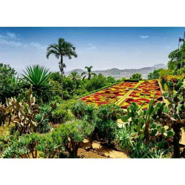 Puzzle peisaje, Ravensburger, Gradina botanica Madeira, 1000 piese, 12 ani+, Multicolor