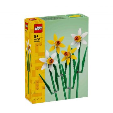 Daffodils 40747