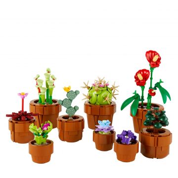 Flower pots 10329