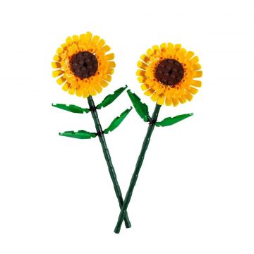 Sunflowers 40524