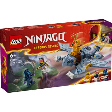 LEGO Ninjago: Tanarul dragon Riyu