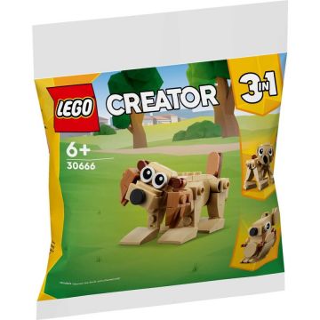 LEGO® Set LEGO Animale cadou, 75 Piese, Multicolor