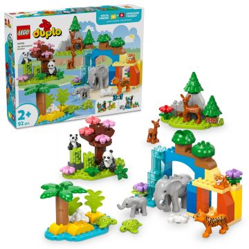 Familii de animale salbatice 3 in 1