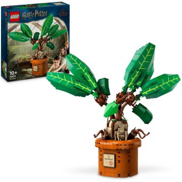 LEGO® LEGO® Harry Potter™ - Matraguna 76433, 579 piese