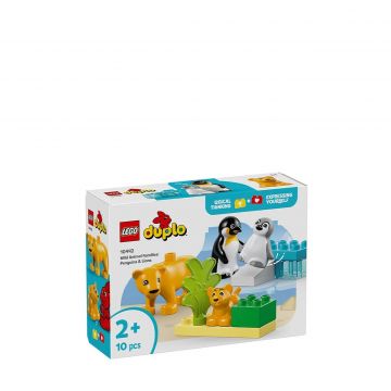 Penguins & lions 10442