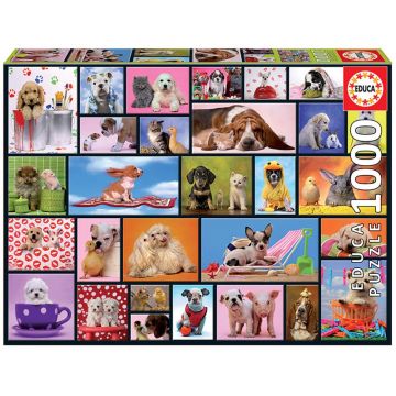 Puzzle 1000 piese Educa Shared Moments Animale de Companie