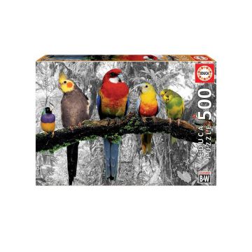 Puzzle 500 piese Educa Pasari Alb Negru