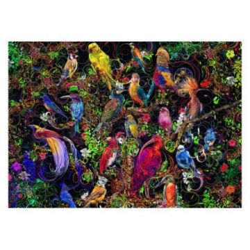 Puzzle Arta Pasarilor, 1000 Piese