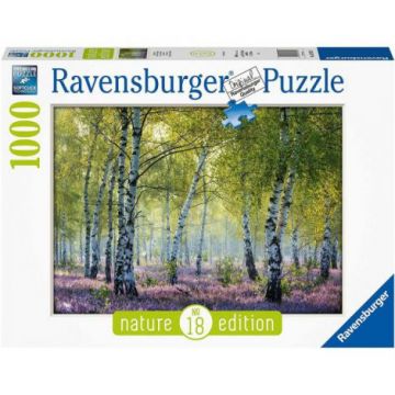 PUZZLE PADUREA DE MESTEACAN, 1000 PIESE