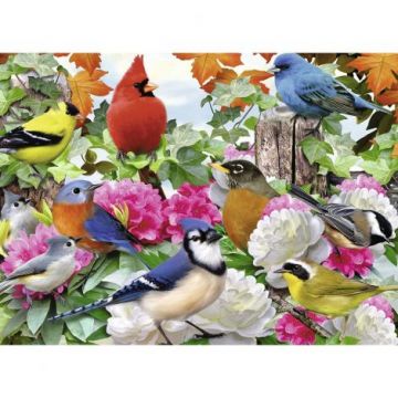 Puzzle Pasari, 500 Piese